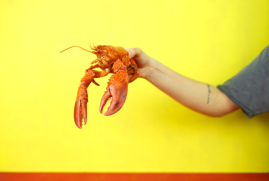 Fun Drinkware for Your Crawfish Boil